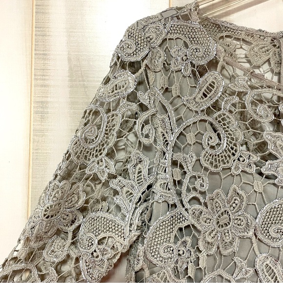 Marina Taupe And Silver Metallic Floral Lace Overlay Dress Sheer Sleeves Sz 12 - Picture 7 of 9